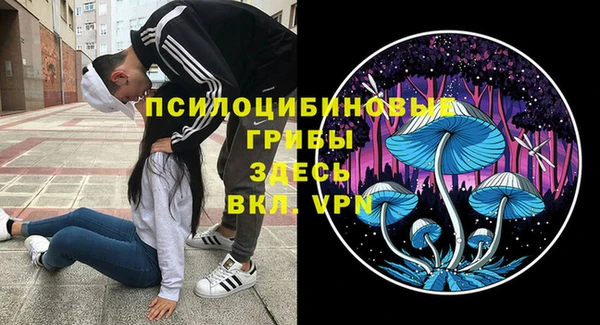 метамфетамин Алексеевка