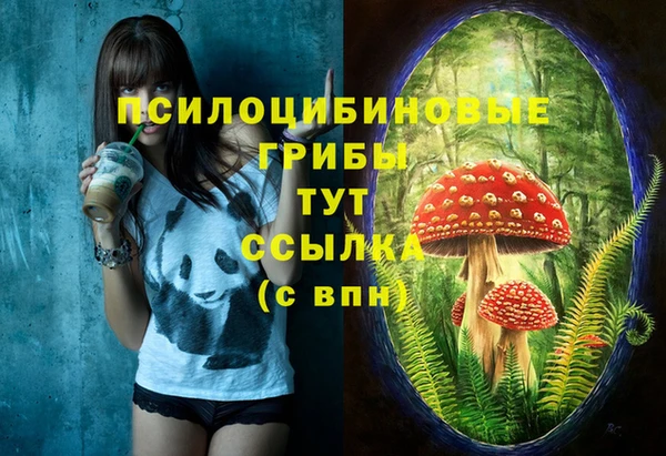 спиды Алзамай